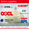 Freight Forwarder Agent/Shipping Logistics/Shipping Agent in China